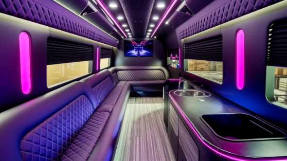 sunnyvale sprinter limo rental rental