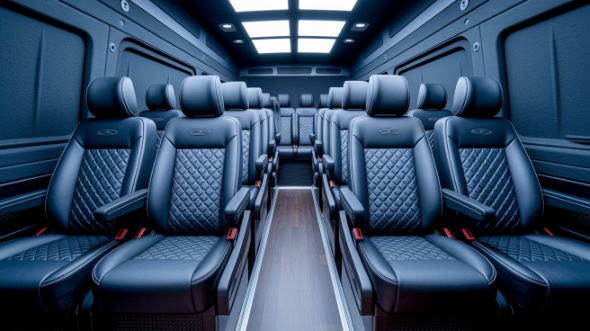 sunnyvale sprinter van with driver rental
